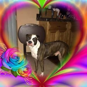 Meet your Posher, Lois